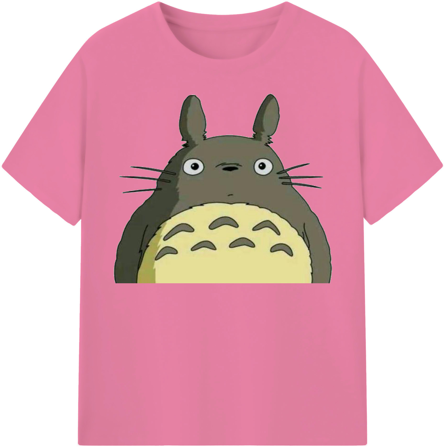 （画像用） となりのトトロ 草壁メイ 草壁サツキ My Neighbor Totoro Satsuki Kusakabe Mei Kusakabe 綿100％半袖Tシャツ（フロントプリント）